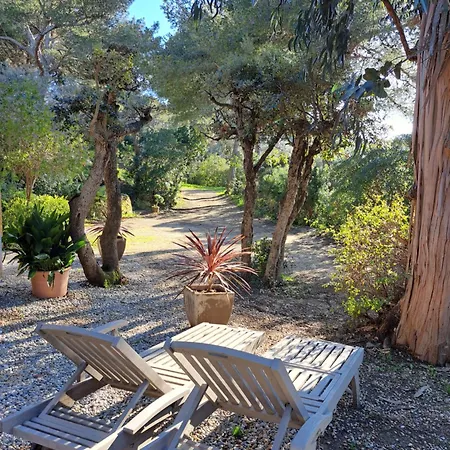 Bastide Presqu Ile De Giens Superbe Vue Piscine Ιέρ