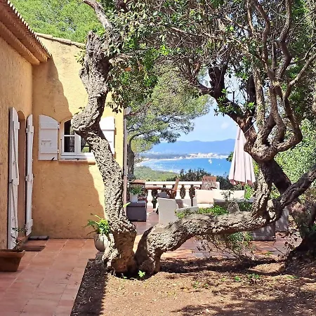 Bastide Presqu Ile De Giens Superbe Vue Piscine Villa Hyères