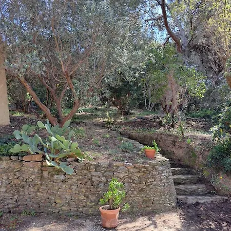 Bastide Presqu Ile De Giens Superbe Vue Piscine