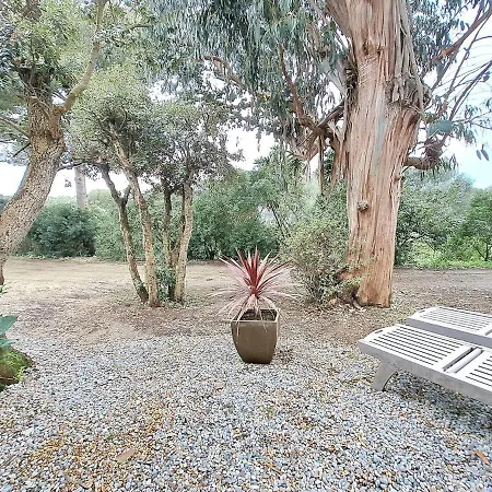 Bastide Presqu Ile De Giens Superbe Vue Piscine Villa