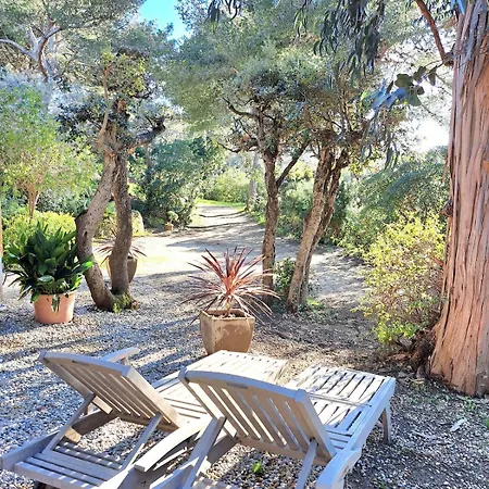 Bastide Presqu Ile De Giens Superbe Vue Piscine Βίλα *