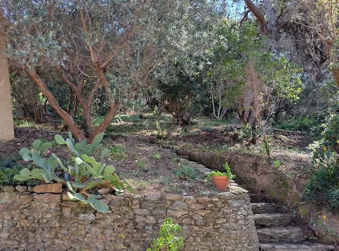 Bastide Presqu Ile De Giens Superbe Vue Piscine